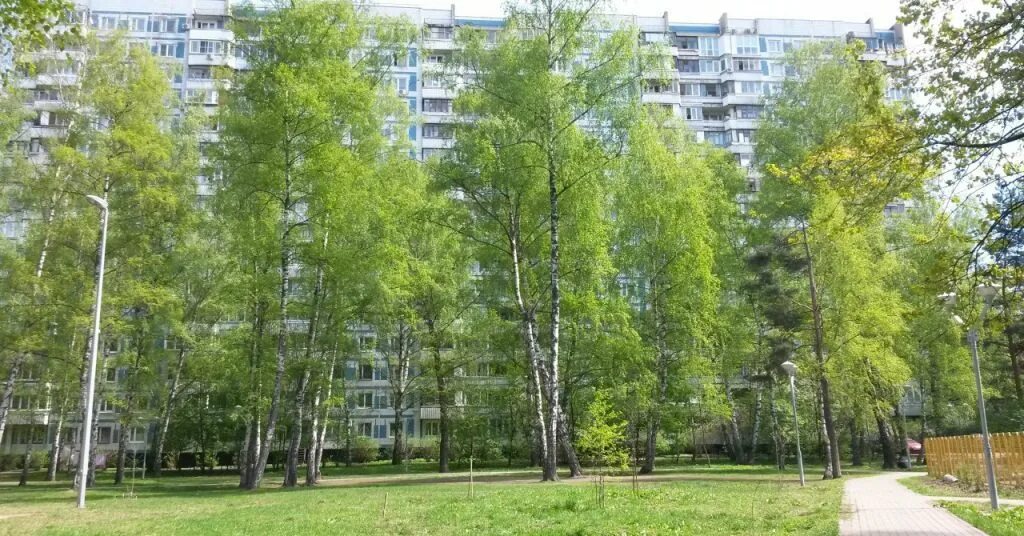 Дом 7к2 берзарина улица. Берзарина 17к2. Москва берзарина 17. Ул берзарина д 34. Берзарина 19 к 2.