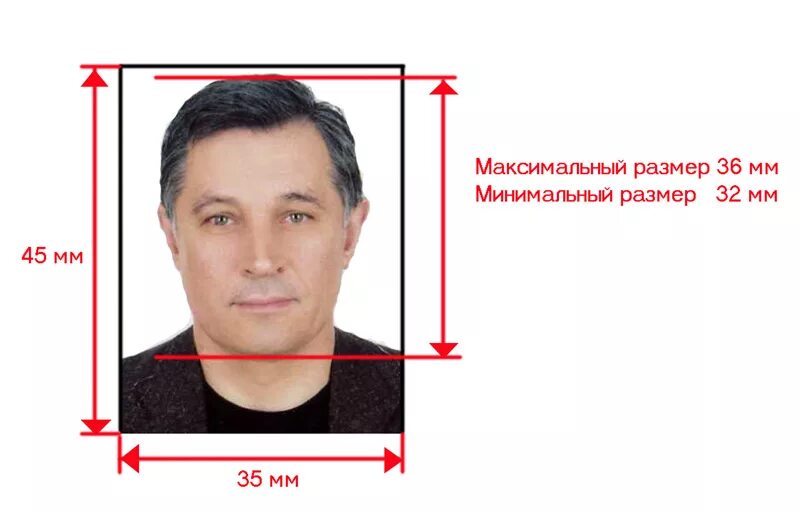 International driving license - AvtoTachki