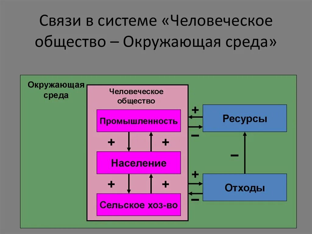 Связь человека с окружающей средой. Общество и окружающая среда. Взаимосвязь человека с окружающей средой. Взаимосвязь системы с окружающей средой.