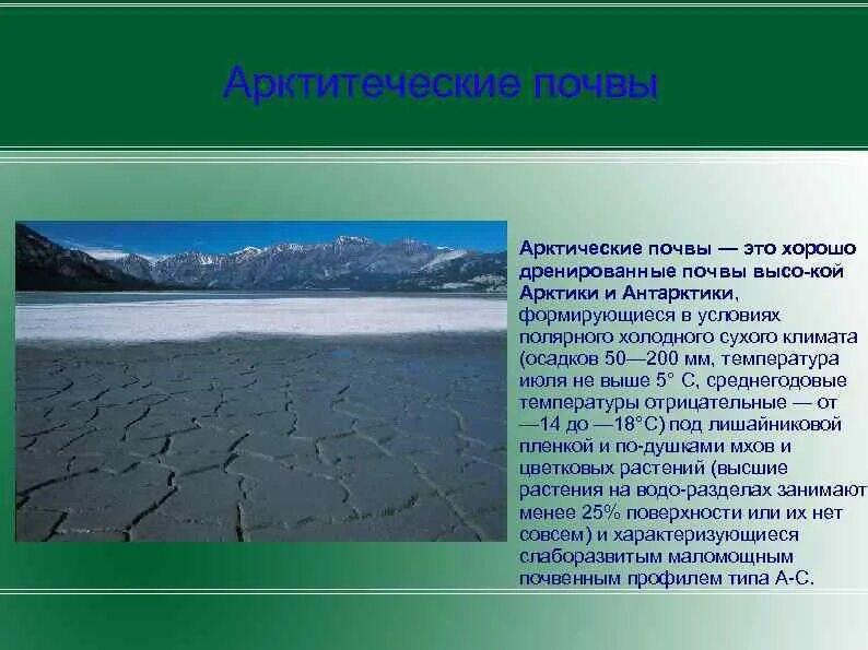 Тип почв арктических пустынь. Арктические пустыни России почвы. Арктические пустыни почвы. Почва в арктических и антарктических пустынях.
