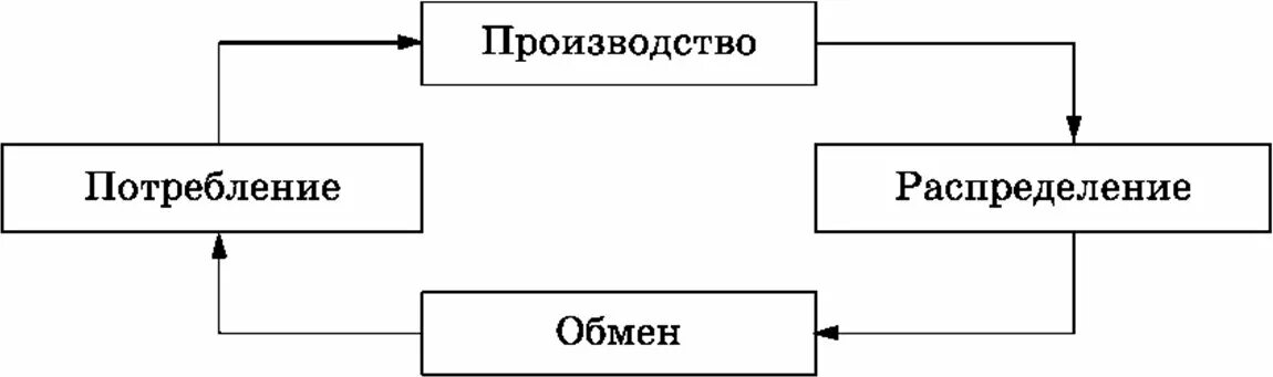 Схема этапов экономической деятельности. Стадии деятельности экономики. Производство распределение обмен потребление. Стадии экономической деятелг. Тн вэд еаэс группы товаров