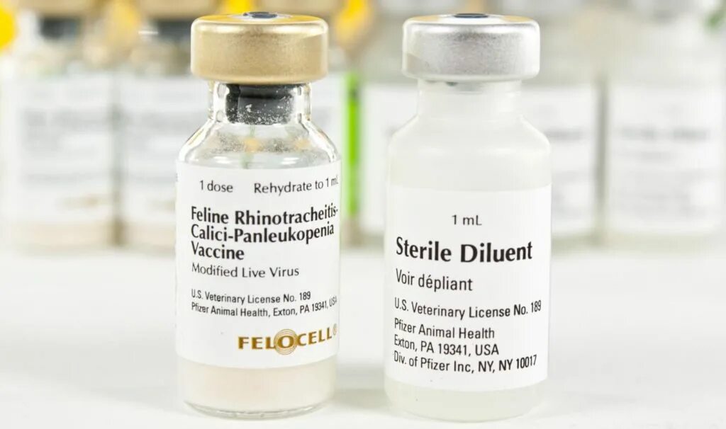 Вакцина для кошек 4. Фелоцел 4 вакцина для кошек. Фелоцел CVR. Вакцина Фелоцел Дефенсор 3. Фелоцел CVR, вакцина для кошек.