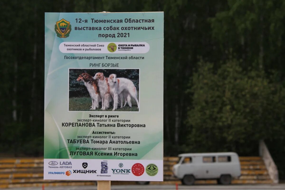 Выставка собак охотничьих пород. Выставка охотничьих собак Тюмень. Презентация выставки собак. Объявление о выставке собак.