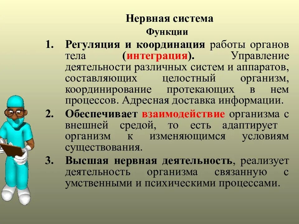 Обеспечить координацию органов. Координация и регуляция. Функции нервной системы. Координация и регуляция деятельности организма. Регуляция деятельности органов система.