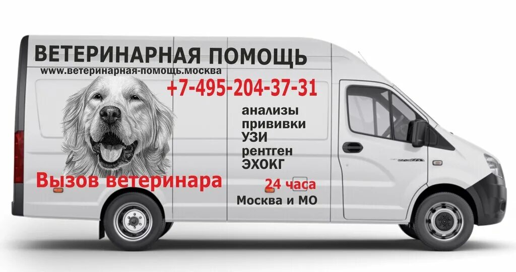 Ветеринарные клиники улан удэ адреса и телефоны. Передвижная ветклиника. передвижной ветеринарный кабинет. ветклиника ступино. номер телефона ветеринарной клиники.