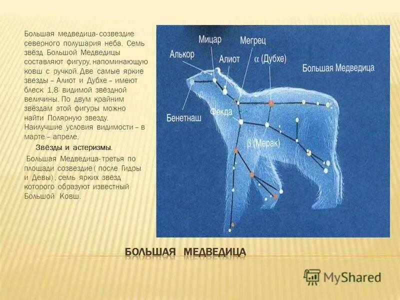 Рассказ о большой медведице. Большая медведица созвездие 1 класс окружающий мир. большая медведица сообщение. созвездие северного полушария большая медведица. звезды ковша большой медведицы названия.