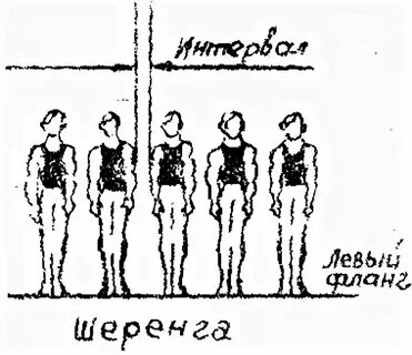 Как называется расстояние между стоящими в колонне