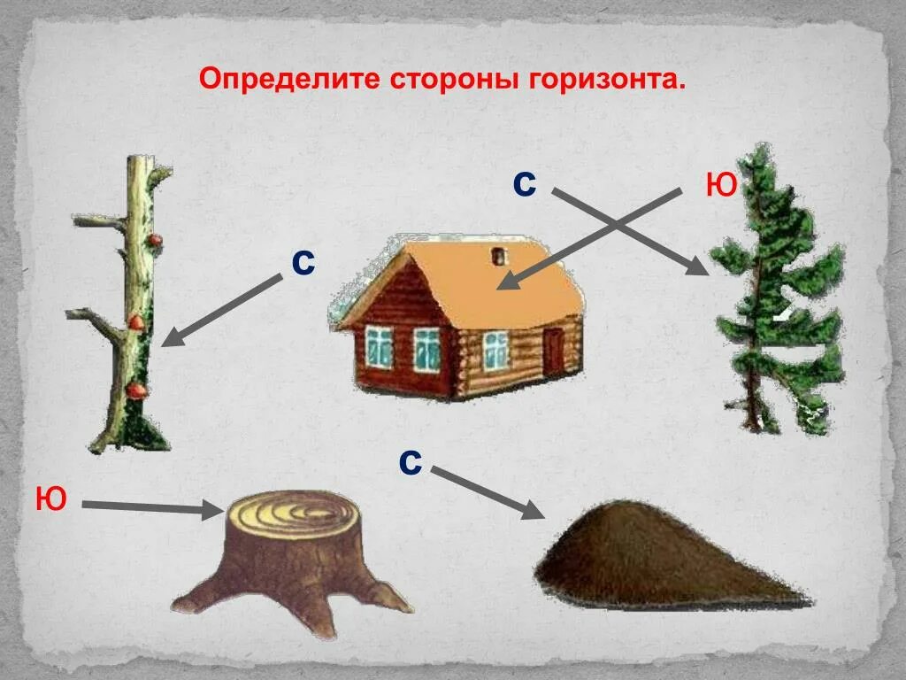 Определенную картинку. Стороны горизонта по местным признакам. Рисунок ориентирование по местным признакам. Определение сторон горизонта. Как определить стороны света.