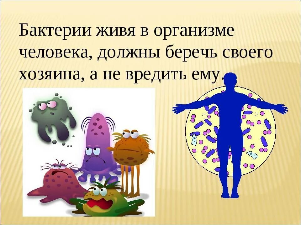 Кто такие микробы. Полезные микробы. полезные и вредные микроорганизмы. бактерии живущие в организме человека. полезные бактерии.