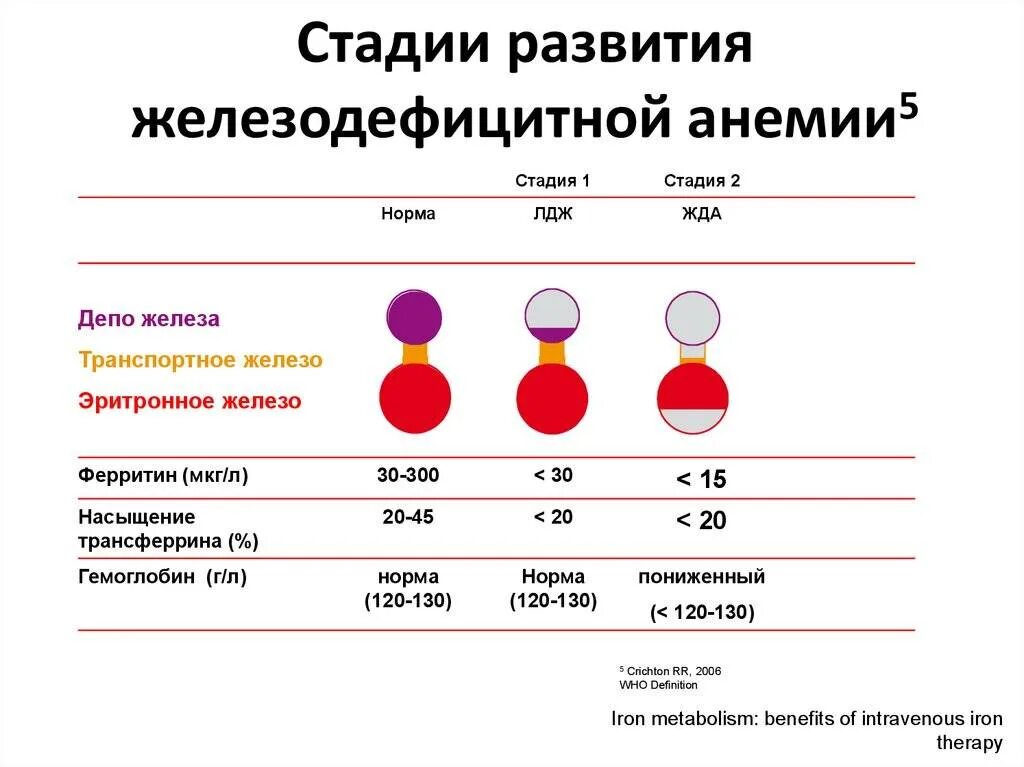 Гемоглобин понижен у женщины причины лечение. Стадии развития железодефицитной анемии. Показатели железа и ферритин нормы. Гемоглобин в норме при железодефицитной анемии. Железодефицитная анемия показатели ферритина.