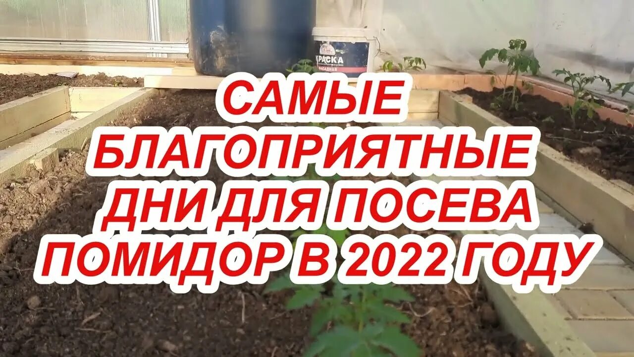 Когда нужно сеять рассаду в 2024 году. Посадка томатов перцев в марте на рассаду. Лунный календарь для посадки перца и помидор на рассаду. Посадка помидор на рассаду в 2023 году. Посадка помидор на рассаду в 2022 году по лунному календарю.