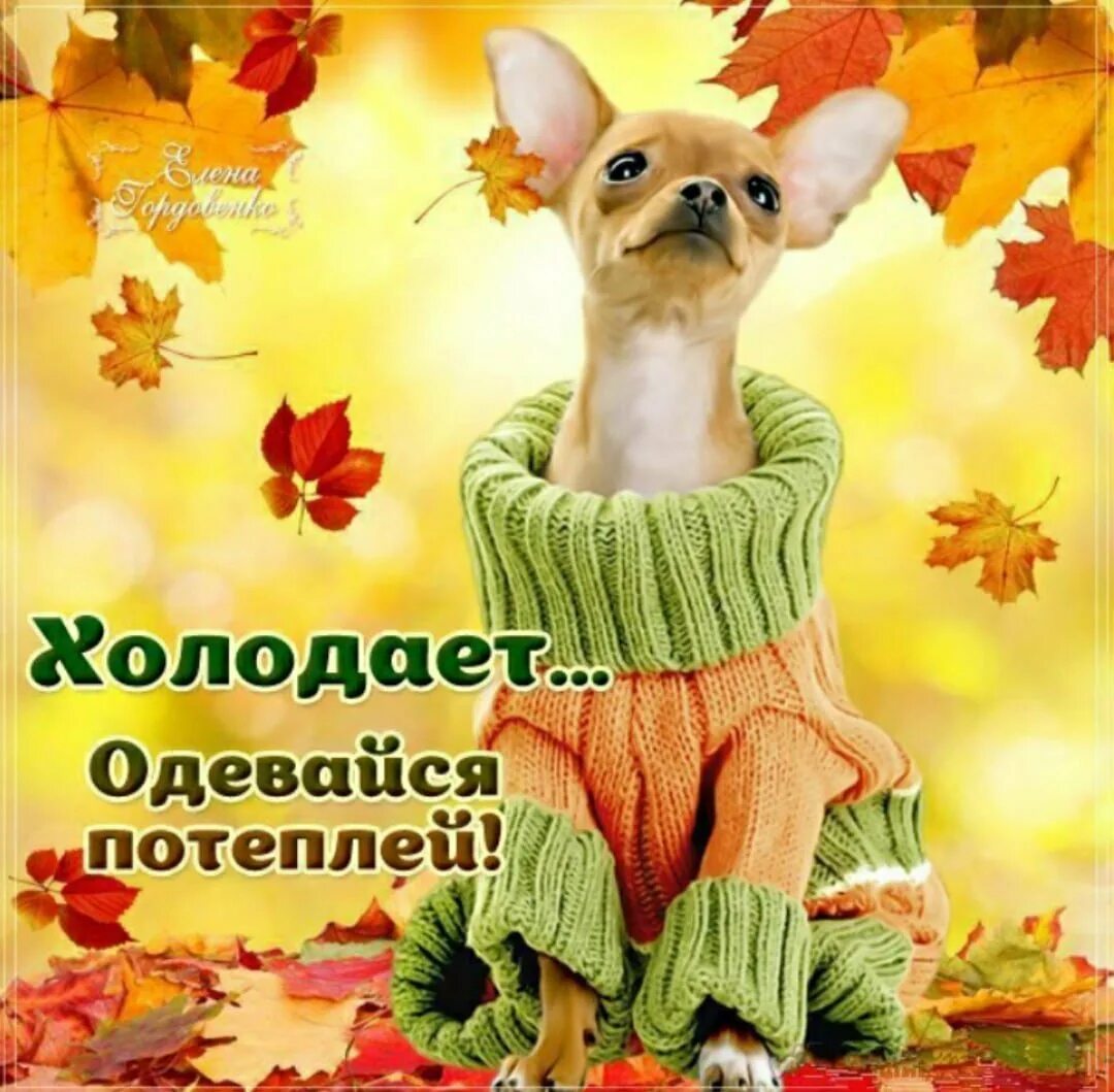 Когда теплеет