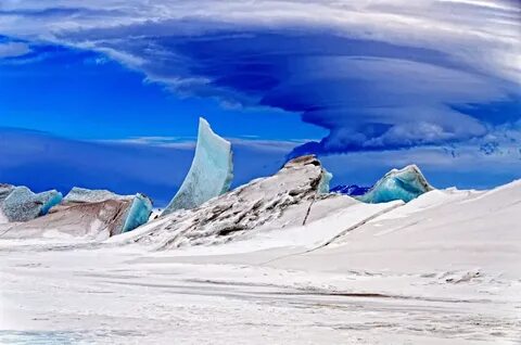 The sea ice