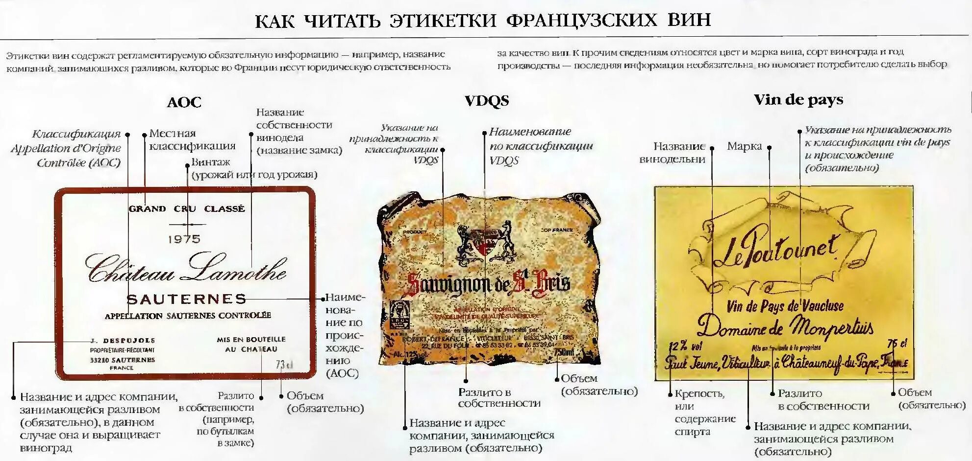 Прочесть вин. Этикетка французского вина. чтение этикетки вина. этикетки вин франции. французское вино этикетка.