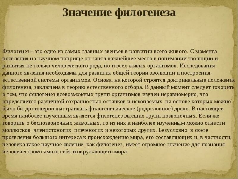 2 филогенез. Филогенез. Филогенез доклад. Развитие речи в филогенезе. Филогенез языка.