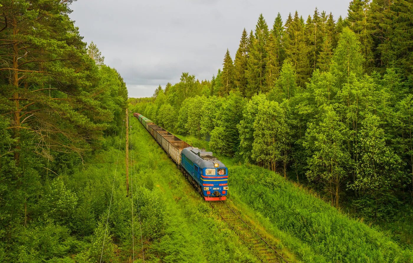 Железная дорога Новгородская область.