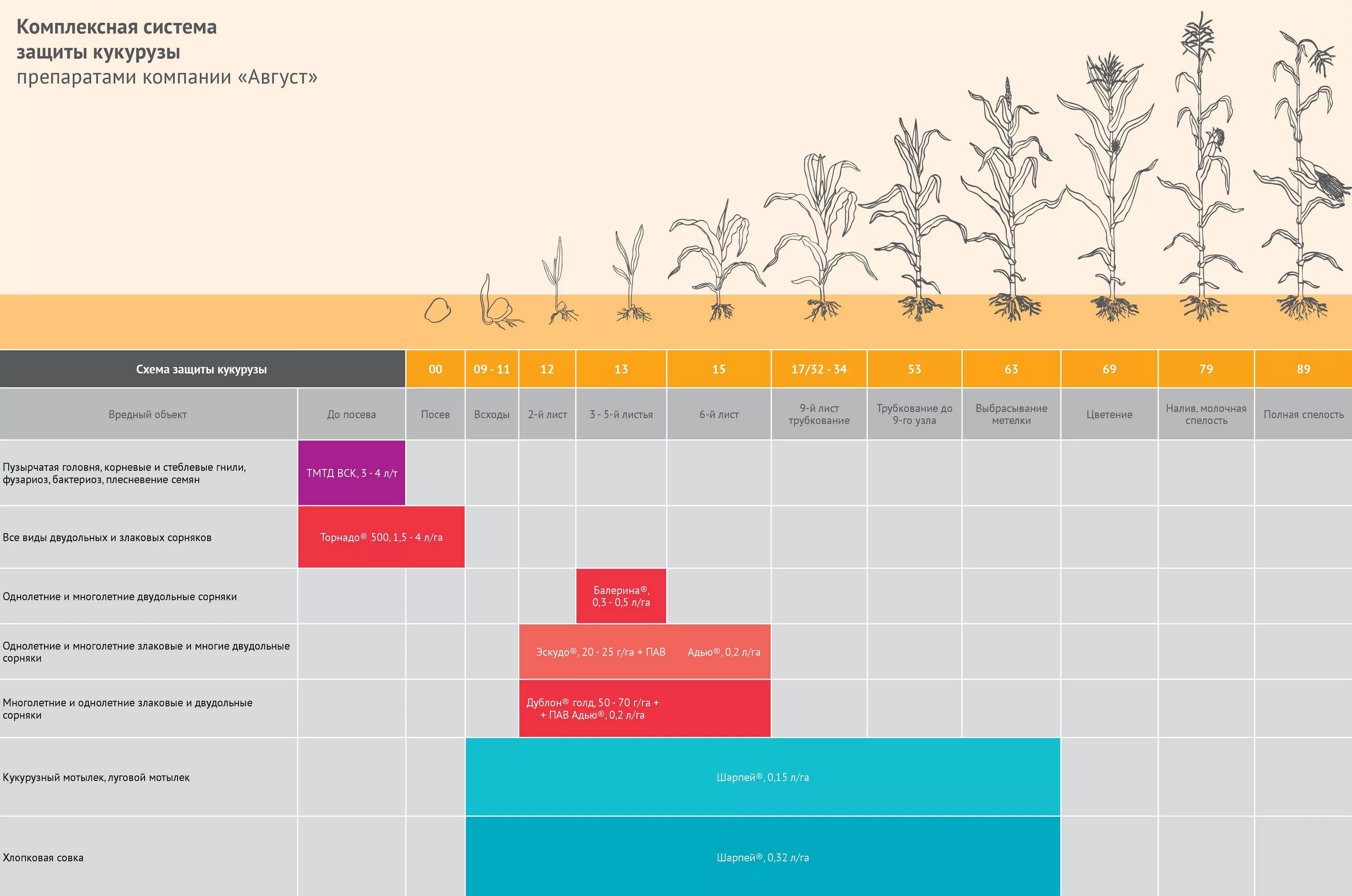 Система август р. Госуслуги решаем вместе. Схема защиты сои сингента. Схема защиты огурца в защищённом грунте. Интегрированная система защиты кукурузы.