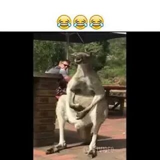 Яички ля ля ля