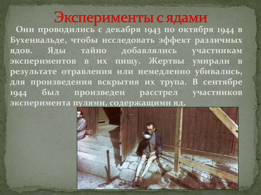 Статья эксперимент. Эксперименты нацистов с ядами. эксперименты с ядами и зажигательными смесями. опыты с ядами освенцим.