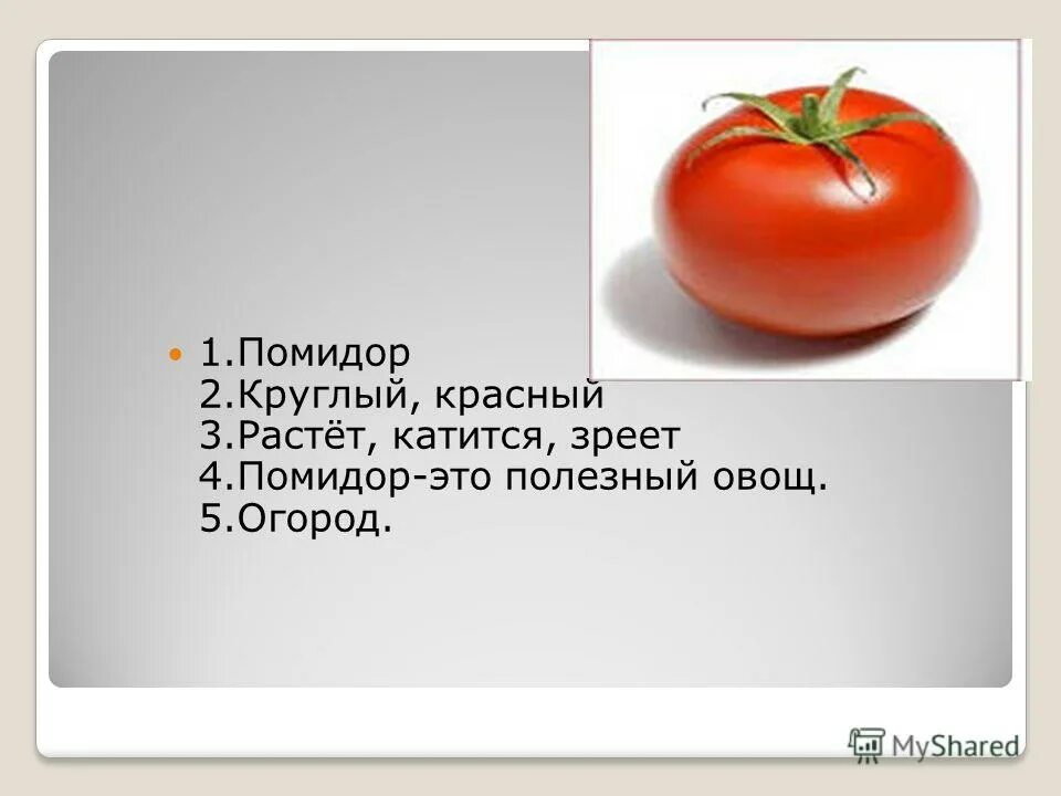 Тема помидоры. Предложение про помидор. Сообщение о помидоре. Помидор для презентации. Томат или помидор как правильно