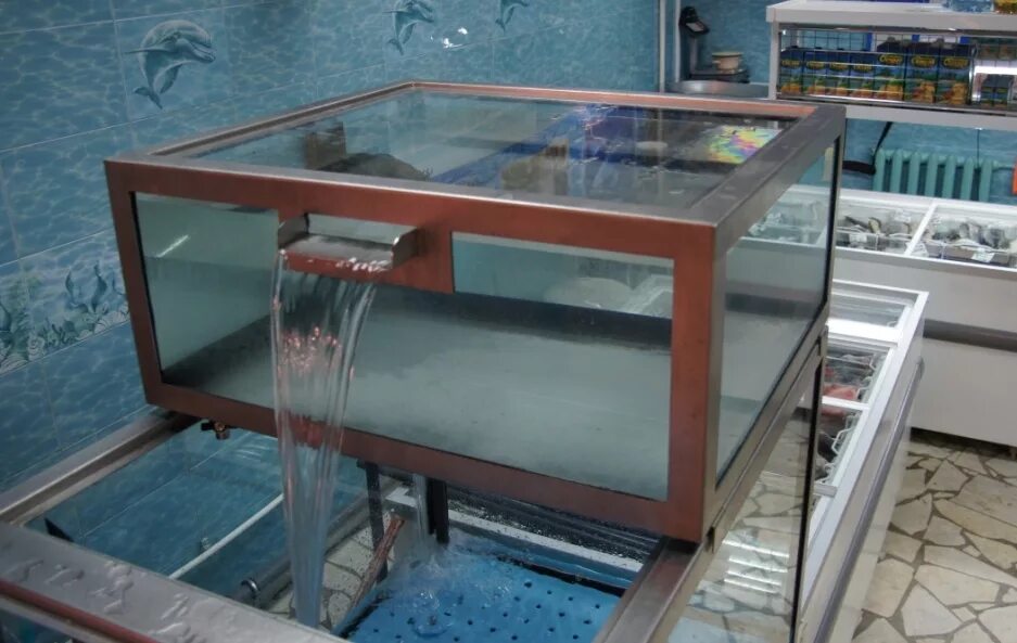 Разведение аквариума. Стеллаж для аквариума. Инкубатор для малек аквариум для рыбок. Разведение аквариума. Неон,гурами,барбусы.