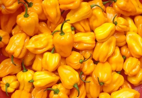 Pepper up