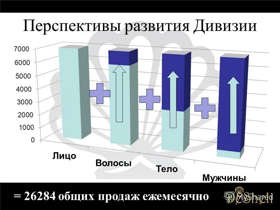 Большие перспективы развития