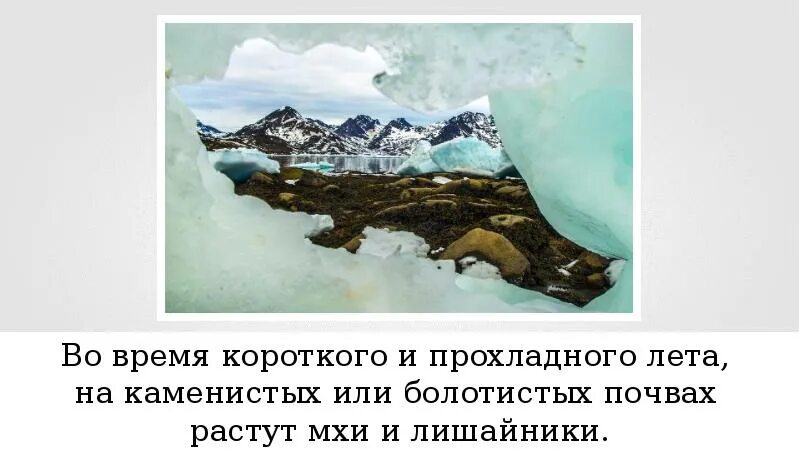 Природные зоны северной америки презентация 7 класс. Разнообразие природы Северной Америки сообщение. Арктические пустыни Северной Америки изменение природы человеком. Разнообразие природы Северной Америки презентация 7 класс Домогацких. Северная Америка 7 класс Домогацких разнообразие природы.