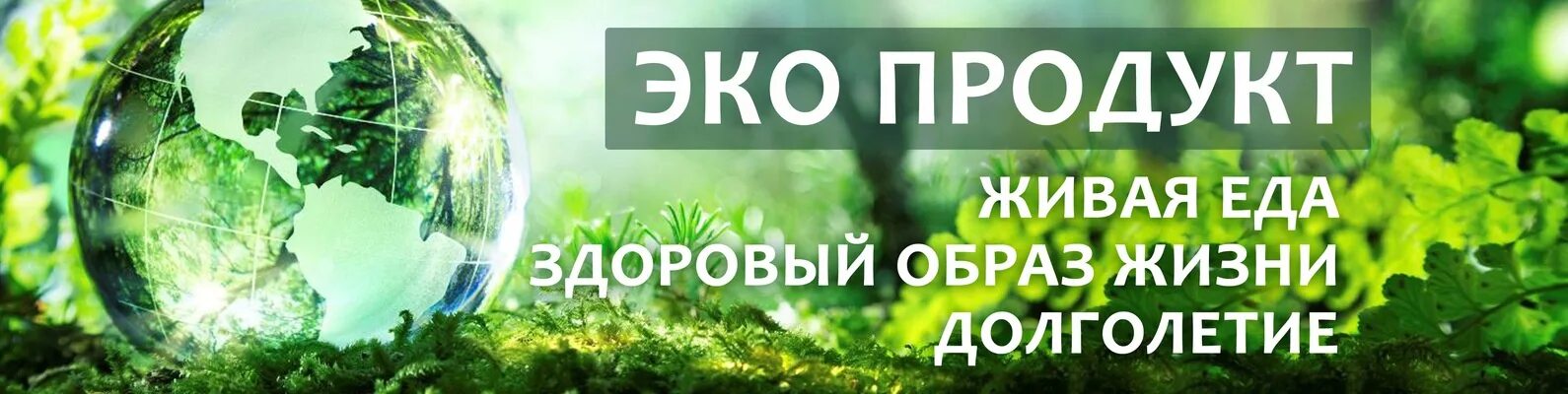Eco товары. Эко продукция. экологические товары. экологически чистые продукты. экология товары.
