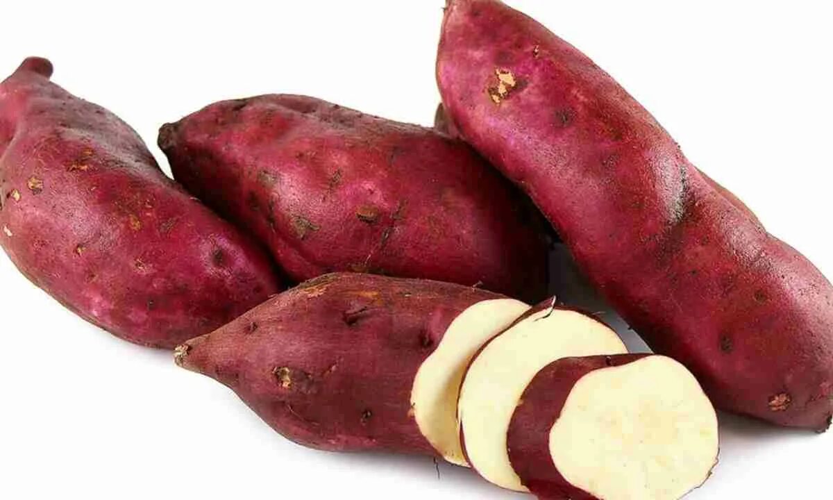 Картофель батат. Красный картофель батат. Батат корнеплод. Батат Сухумский