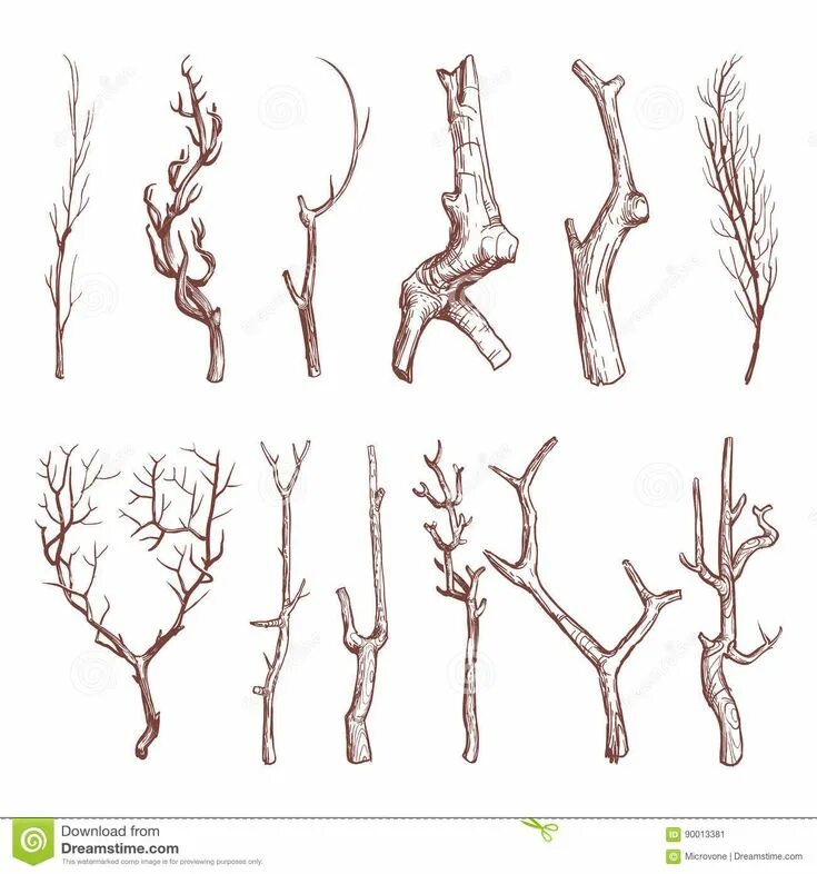 Branch for as