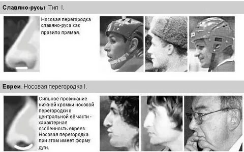 Уши евреев
