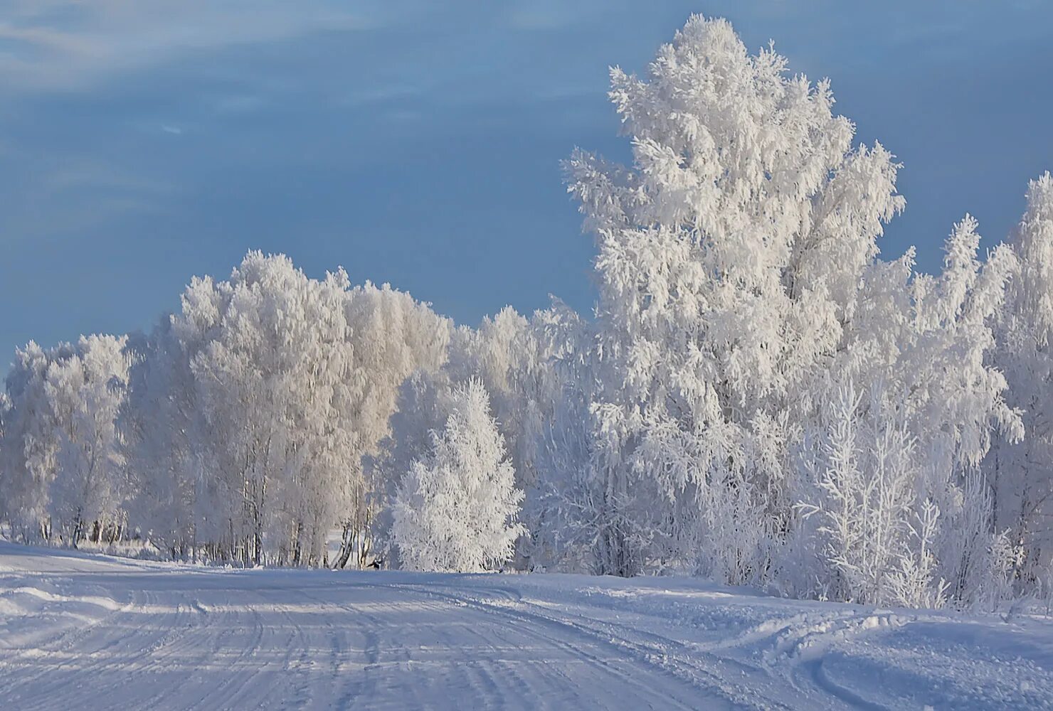 Сибирь зимой. Зима в Сибири. Зимняя природа. Природа Сибири зимой.