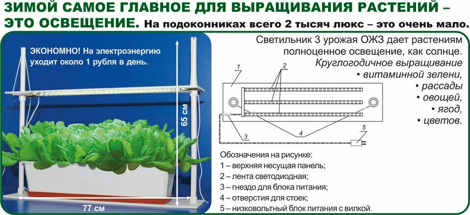 Ожз микроэлементы. Лампа для растений ожз кузнецова. светильник ожз. светильник три урожая ожз. светильник 5 урожаев ожз.