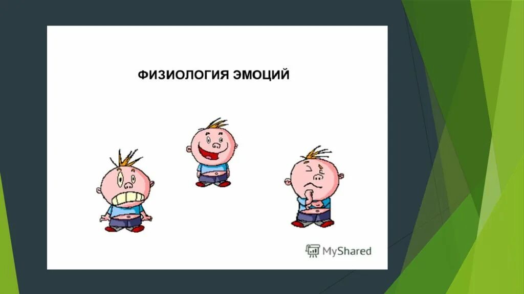 Механизм формирования эмоций. Физиология эмоций. Физиологические проявления эмоций. Схема возникновения эмоций. Физиология чувств.