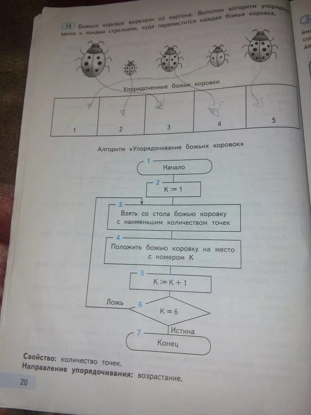 Информатика 4 класса паутова. Информатика 4 класс рабочая тетрадь Бененсон. Гдз Информатика 4 класс рабочая тетрадь Бененсон. Е.П. Бененсон, а.г. Паутова Информатика. Домашнее задание по информатике.