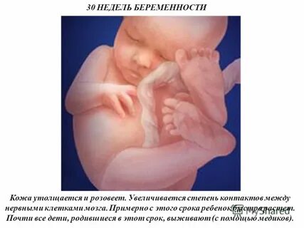 Почему на 32 недели