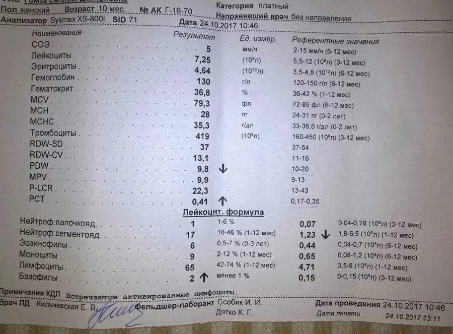 Эозинофилы норма в год. Эозинофилия в анализе крови. эозинофилы показатели в крови. эозинофилы повышены у взрослого в крови. эозинофилы повышены у взрослого в крови норма.
