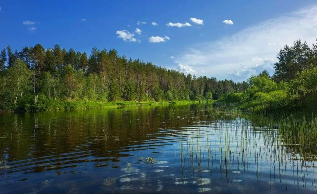 Поверхностные водные объекты