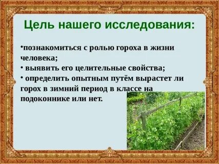 Роль гороха