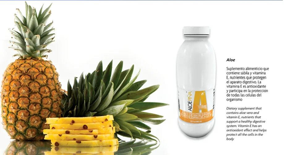 Aloe lab. Алоэ жемчужное. Алоэ иконка. Алоэ петергофе. Хавортия гастерия.