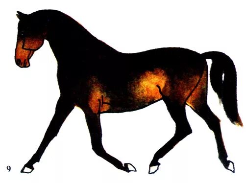 Рассмотрите фотографию коричневой лошади с черными. Караковая Вороная лошадь. Караковая масть. Караковская масть лошади. Вороная лошадь с подпалинами.
