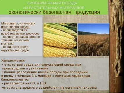 Качество и безопасность растительной продукции