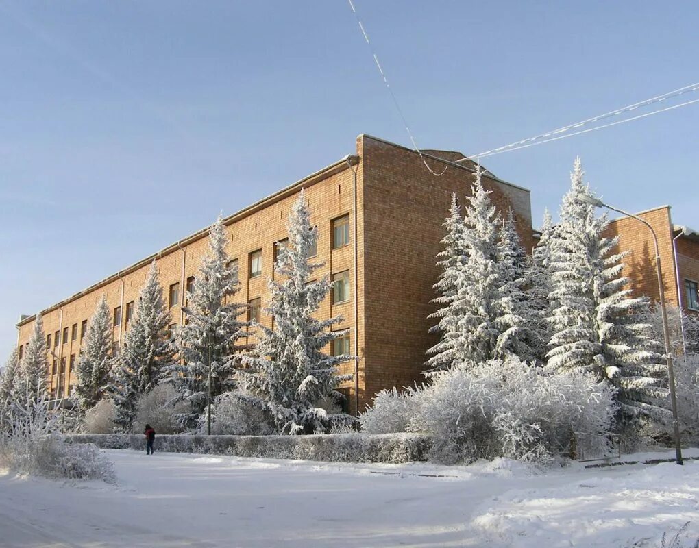 институт леса им в. красноярск академгородок институт. институт леса красноярск. институт леса со ран. институт леса имени в н сукачёва со ран.