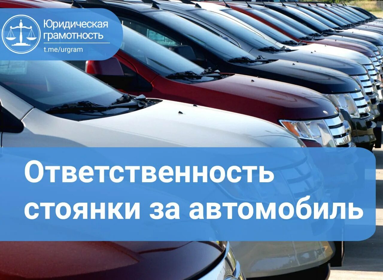 Ответственность автостоянки. Ответственность автостоянки