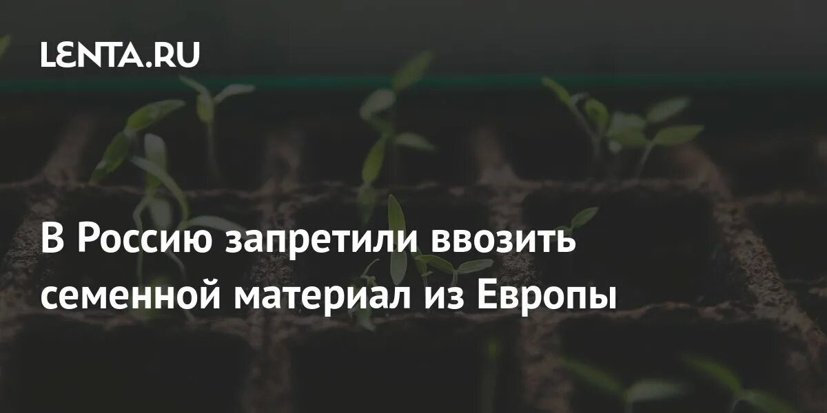 Запрет на въезд картинки. Евросоюз запретил. Границы евросоюза. Очередь на границе из авто. Туризм евросоюза.