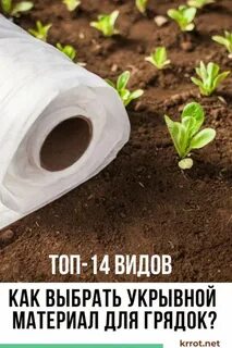 Какой укрывной материал лучше для грядок