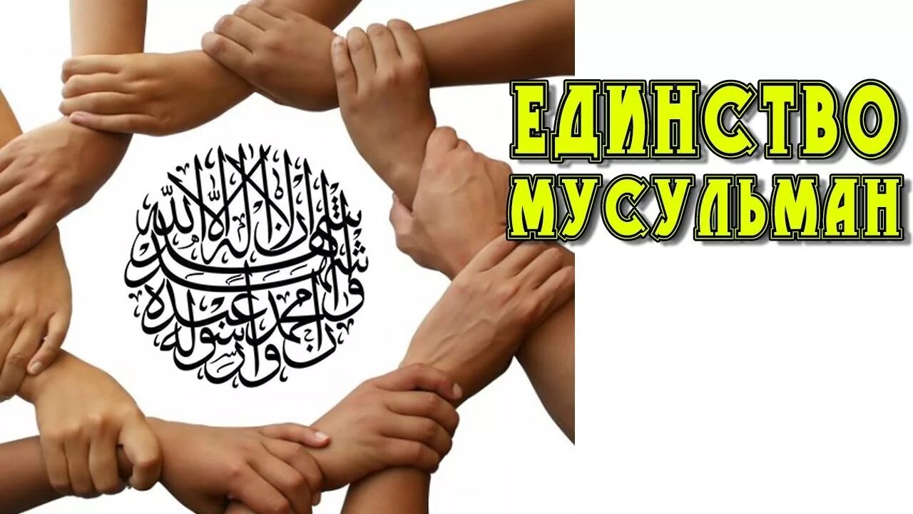 Сила мусульманина. Единство мусульман. Единство в Исламе. Равенство мусульман. Сплоченность в Исламе.
