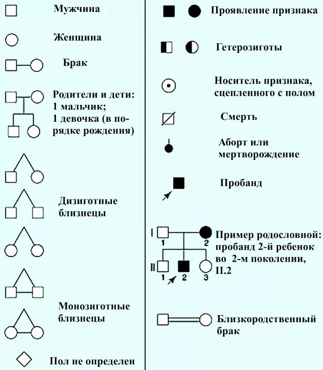Черт обозначение человека