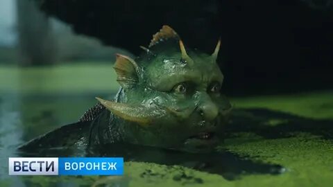 Последний богатырь бурунов